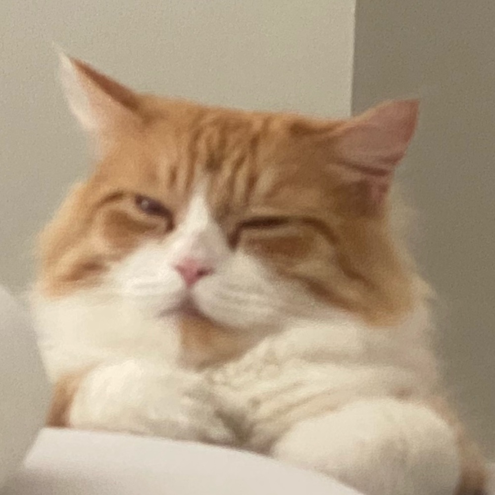 Meet your Posher, Isa